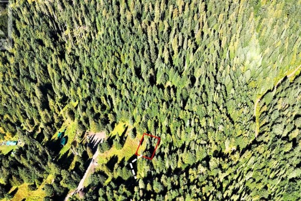 1645 Ferguson Road Lot# Parcel A, Ferguson, BC V0G1R2 Photo 4