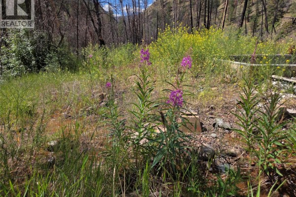 1655 Ashnola Road, Keremeos, BC V0X1N1 Photo 5