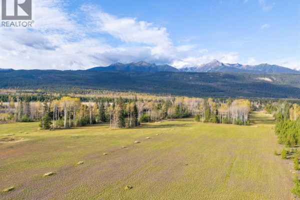 1655 S Highway 5, Valemount, BC V0E2Z0 Photo 4