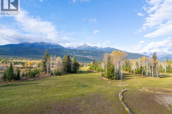 1655 S Highway 5, Valemount, BC V0E2Z0 Photo 5