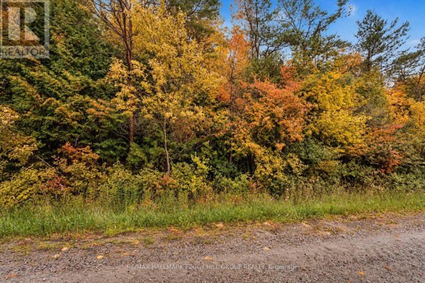 1659 County Road 92, Springwater, ON L0L1P0 Photo 4