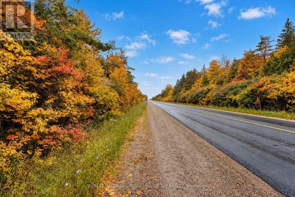 1659 County Road 92, Springwater, ON L0L1P0 Photo 5