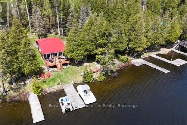 Living room - 166 Lake Temagami Island 27 Island, Temagami, ON P0H2H0 Photo 2