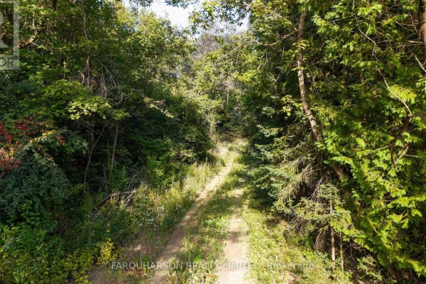 16631 Mount Hope Road, Caledon, ON L7E4A7 Photo 5