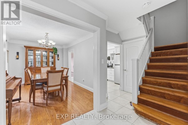 Cold room - 167 Bayswater Avenue, Ottawa, ON K1Y2G4 Photo 5