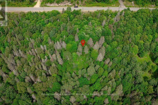 167 North Pickerel Lake Road, Armour, ON P0A1C0 Photo 4