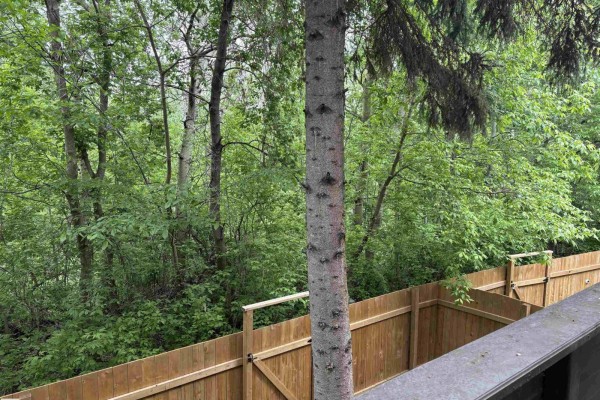 Family room - 167 Ridgewood Tc, St  Albert, AB T8N0E9 Photo 4