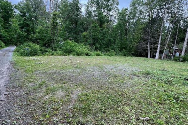 167 Spruce Lane, Trent Hills, ON, photo 2