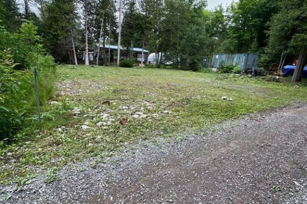 167 Spruce Lane, Trent Hills, ON K0K2M0 Photo 5