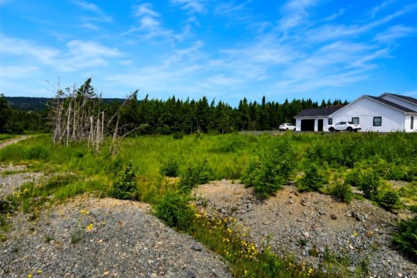 168 Hodgewater Line, South River, NL A0A3W0 Photo 4