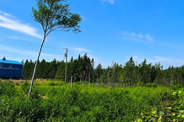 168 Hodgewater Line, South River, NL A0A3W0 Photo 5