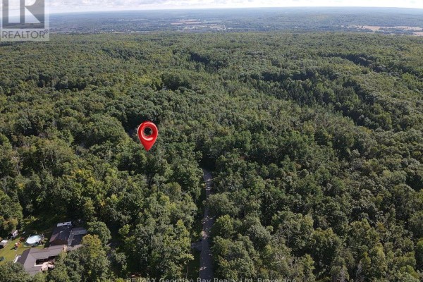 168 Peter Street E, Oro Medonte, ON L0K2C0 Photo 4