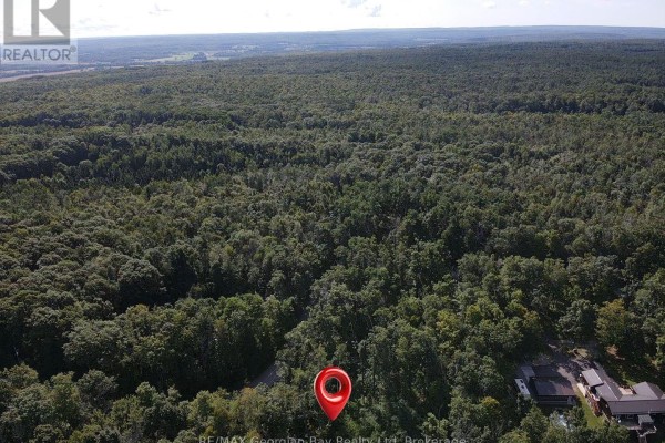 168 Peter Street E, Oro Medonte, ON L0K2C0 Photo 5