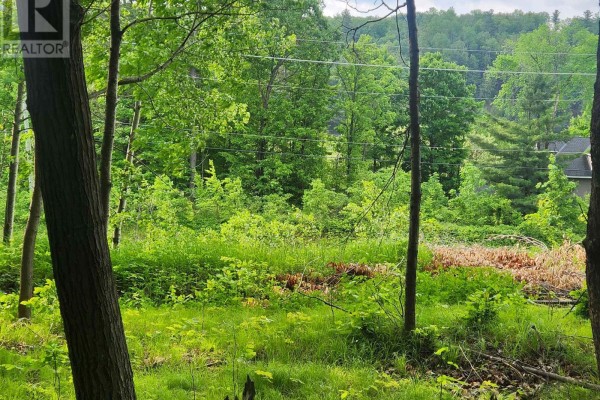 1680 Calabogie Road, Mcnab/braeside, ON K0A1G0 Photo 4