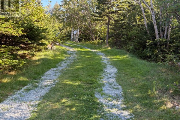 Eat in kitchen - 169 -175 Middle Three Island Pond Road, Torbay, NL A1K0N9 Photo 4