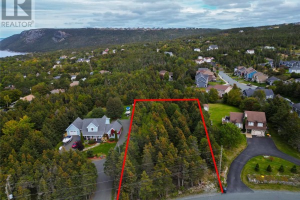 Aerial view of land parcel outlined in red, bordering a residential street and wooded area. - 169-171 Spruce Hill Road, Conception Bay South