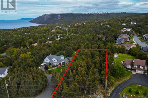 Drone view of forested land parcel with red outline, overlooking a bay and houses. - 169-171 Spruce Hill Road, Conception Bay South