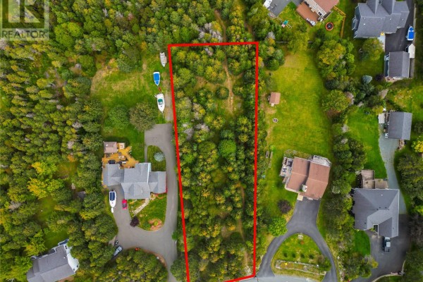 Direct overhead aerial view of a rectangular, tree-covered land parcel outlined in red. - 169-171 Spruce Hill Road, Conception Bay South