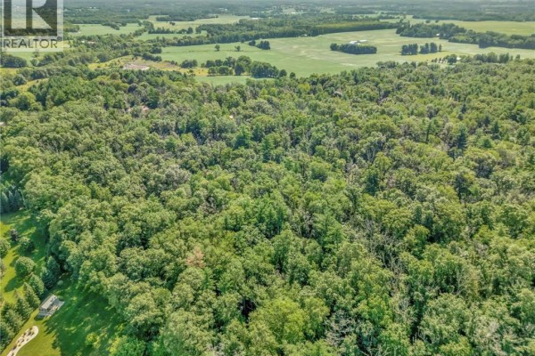 169 Clarke Road, Paris, ON, photo 3