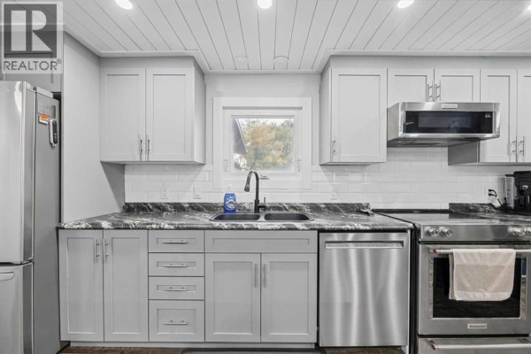 Storage - 169 Spring Haven Mews Se, Airdrie, AB T4A1A8 Photo 4