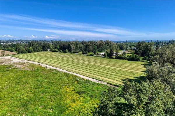 16913 66 Avenue, Surrey, BC V3S5M1 Photo 4