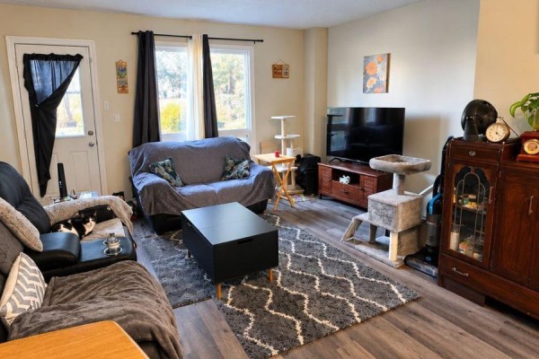 Living room - 17 - 133 Bay Street, Woodstock, ON N4S8H7 Photo 4