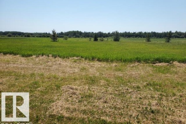 17 465011 Rge Rd 64, Rural Wetaskiwin County, AB T0C0T0 Photo 4