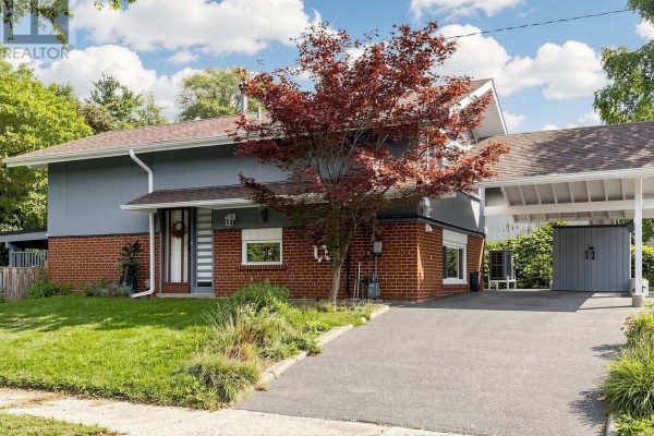 Close-up front view of the house entrance with brick and blue siding, a covered carport, and a red maple tree. - 17 Amboy Road, Toronto
