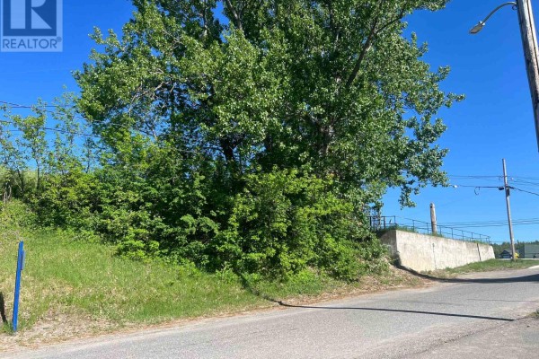 17 Argentite Street, Cobalt, ON P0J1C0 Photo 2