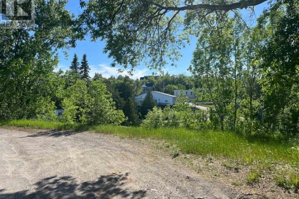 17 Argentite Street, Cobalt, ON P0J1C0 Photo 4