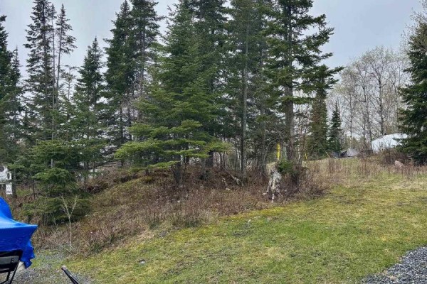 17 Au Lac Retreats Road, Sioux Narrows Nestor Falls, ON P0X1N0 Photo 4