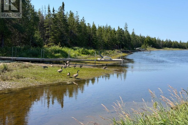17 Bay Shore Ave. N. Avenue, Northern Bruce Peninsula, ON N0H2R0 Photo 5