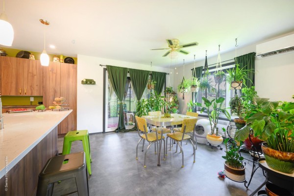Open concept dining and kitchen area with concrete floors, wood cabinets, and abundant hanging houseplants. - 17 Ch. De La Péninsule, #b, Val Des Monts