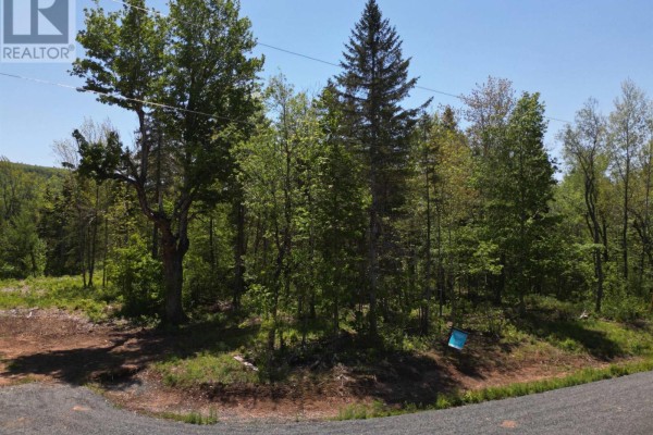 17 Glades Run, Wentworth, NS B0M1Z0 Photo 2