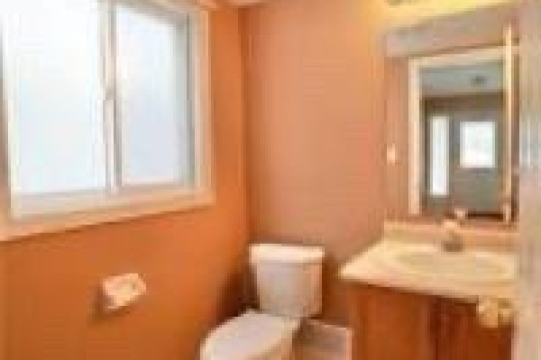 3pc Ensuite bath - 17 Hawkswood Drive, Kitchener, ON N2K4J6 Photo 4