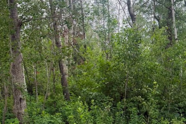 15 Kenmare Bay, Alexander Rm, MB R0E2C0 Photo 2