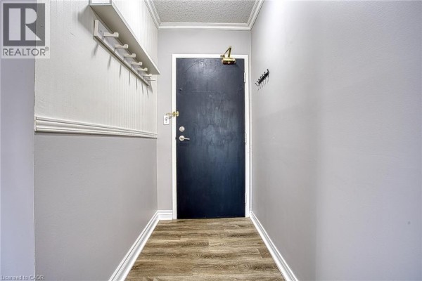 Hallway leading to dark blue apartment door with wood-look flooring. - 17 King Street E Unit# 502, Dundas