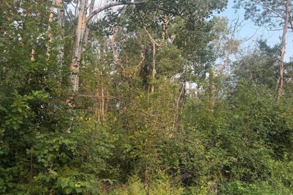 17 Mildred Place, Victoria Beach, MB R0E0C0 Photo 3