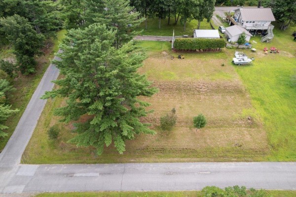 Aerial view of a grassy lot with a large tree and adjacent road. - 17 Rue Benthley, Portage Du Fort