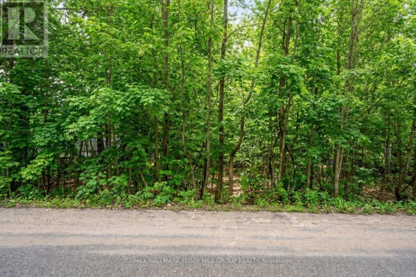 17 Valleyview Drive, Oro Medonte, ON, photo 3