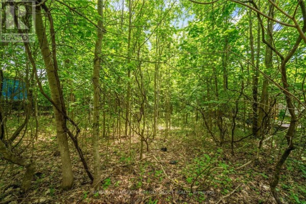 17 Valleyview Drive, Oro Medonte, ON L0K1N0 Photo 4