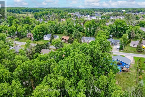 17 Valleyview Drive, Oro Medonte, ON L0K1N0 Photo 5