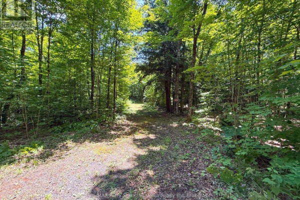 17 White Beaver Trail, Mcdougall, ON P2A2W7 Photo 2