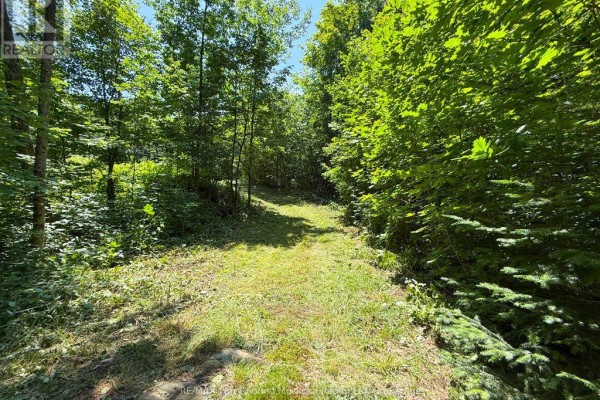 17 White Beaver Trail, Mcdougall, ON P2A2W7 Photo 3