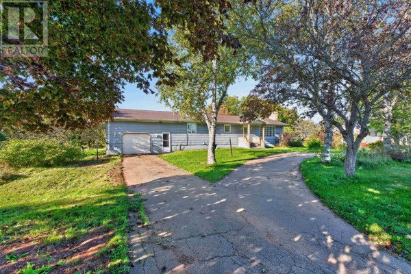 View of the house from a split driveway with mature trees and green lawn. - 170 Affleck Road, Albany