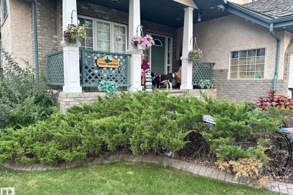 Living room with beige carpet, fireplace, and large windows for natural light - 170 Blackburn Dr W Sw, Edmonton