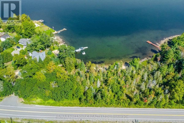 17000 Hwy 35, Algonquin Highlands, ON K0M1S0 Photo 3