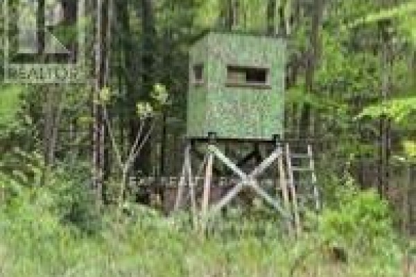 1703 Matawatchan Road, North Frontenac, ON K0J2R0 Photo 4