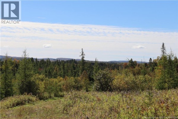 1703 Route 121, Norton, NB E5T1P1 Photo 3