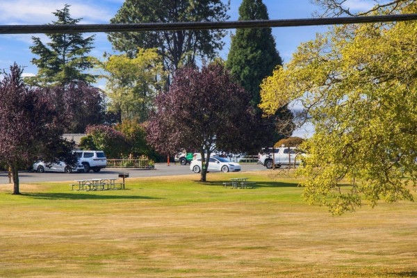 17037 0 Avenue, Surrey, BC V3Z9N9 Photo 5